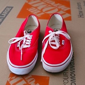 Vans Skate Shoe